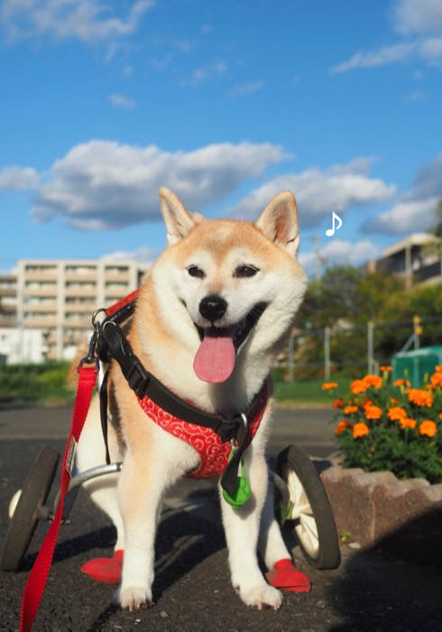 28日夕ブログ２