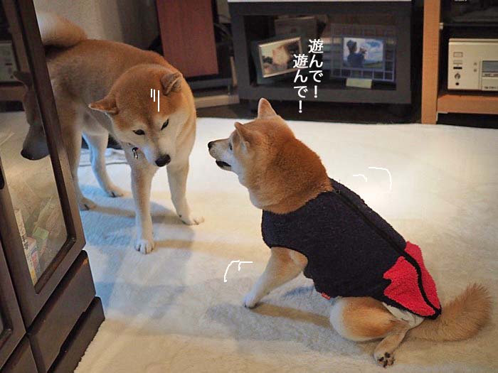 16日ブログ６