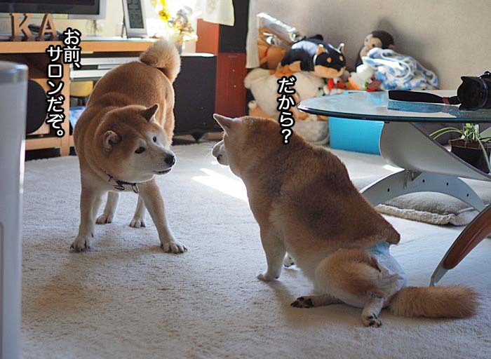 23日午前ブログ９