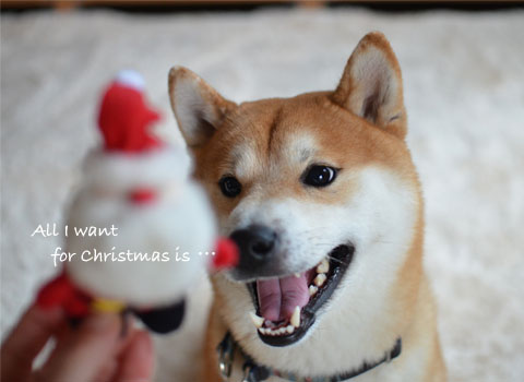 22日ブログ5.jpg