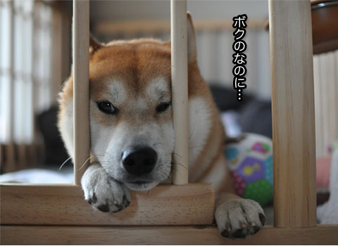 26日ブログ14.jpg