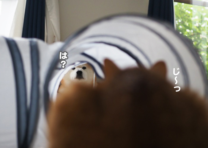 31日ブログ４