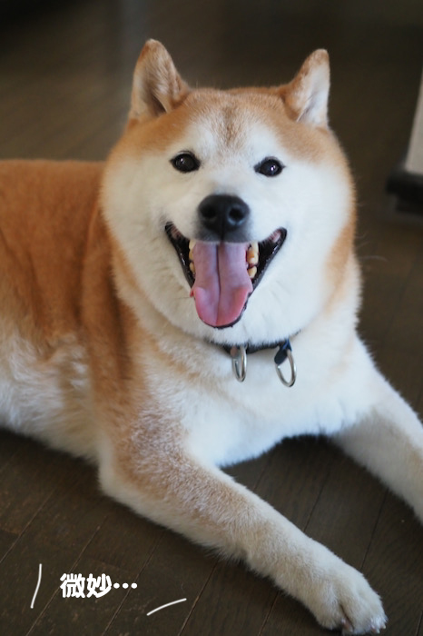 5日ブログ２