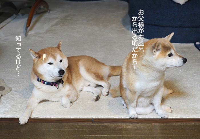 23日ブログ１３