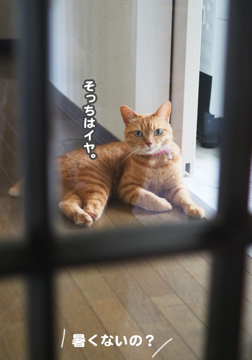 10日夕ブログ２