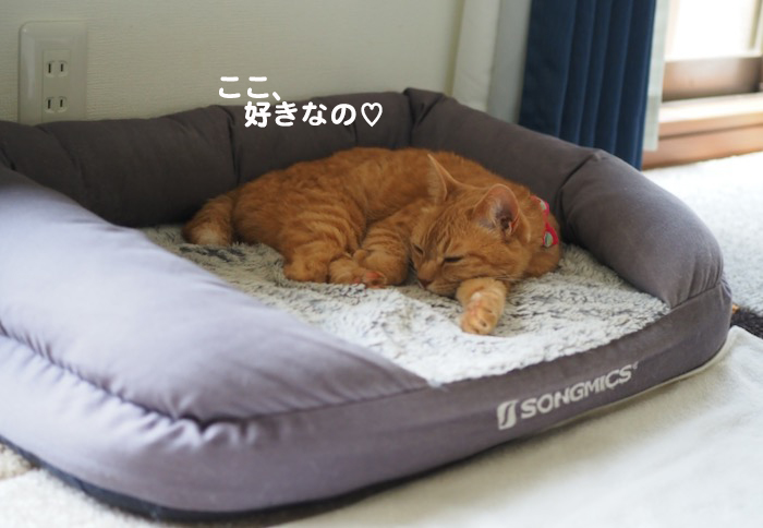 21日夕ブログ３