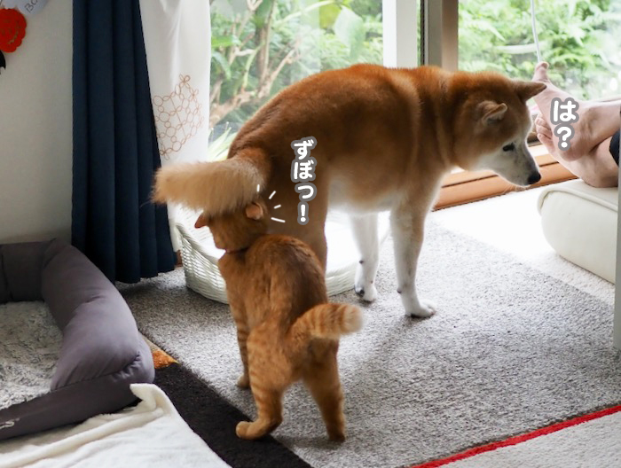 15日夕ブログ４