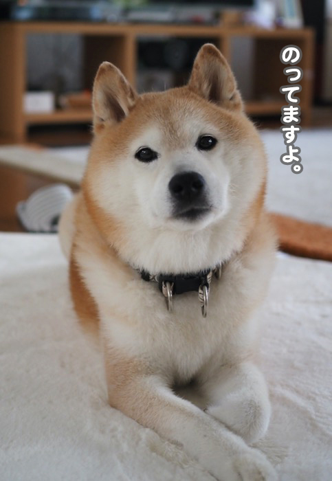28日ブログ２