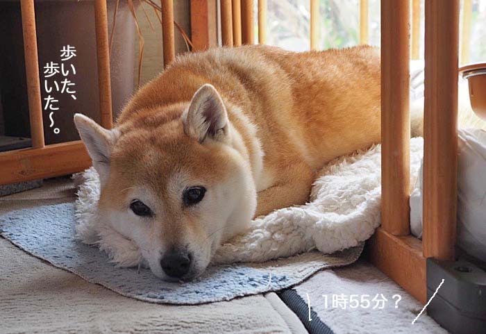 13日ブログ３