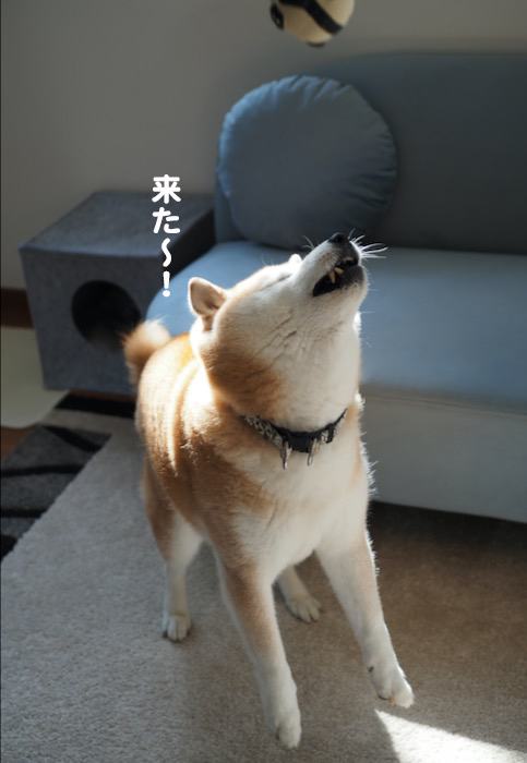 2日夕ブログ５