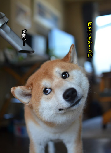 29日ブログ9.jpg