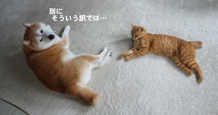 29日ブログ３