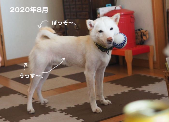 12日夕ブログ３
