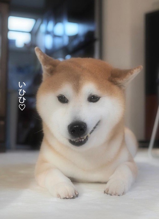 25日ブログ9