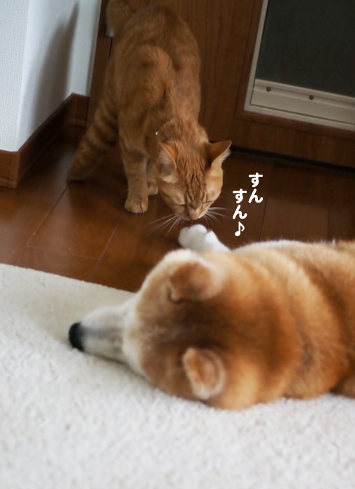 24日夕ブログ９