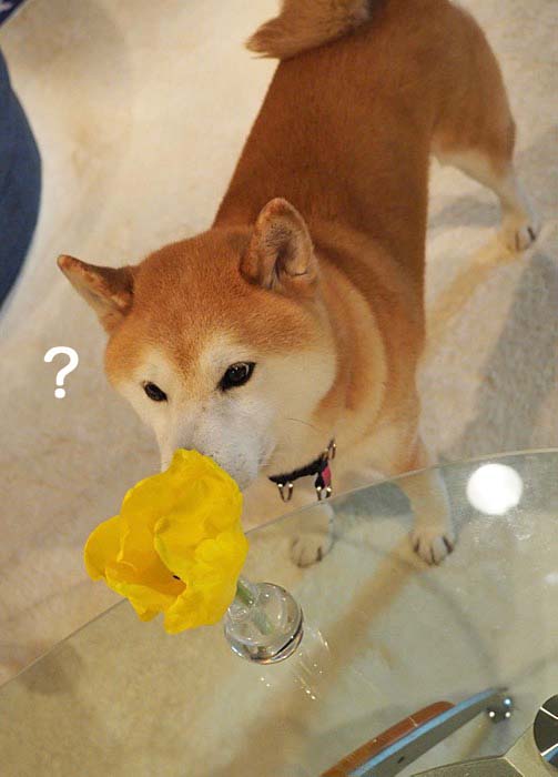 10日夜ブログ２