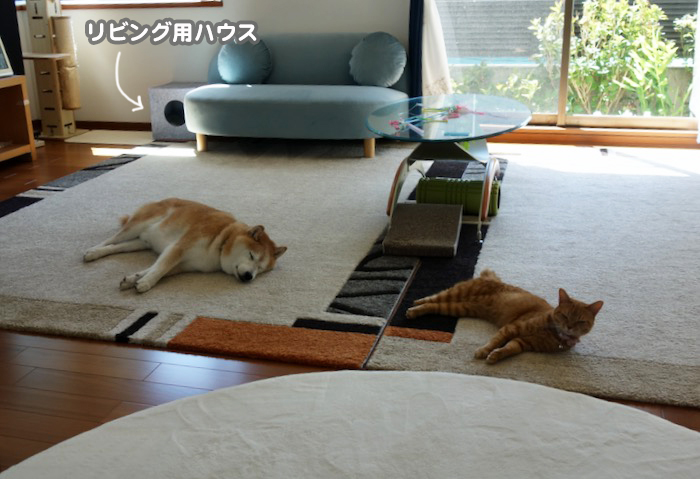 28日夕ブログ２