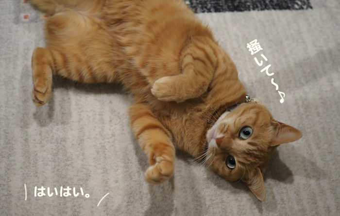 12日夕ブログ５