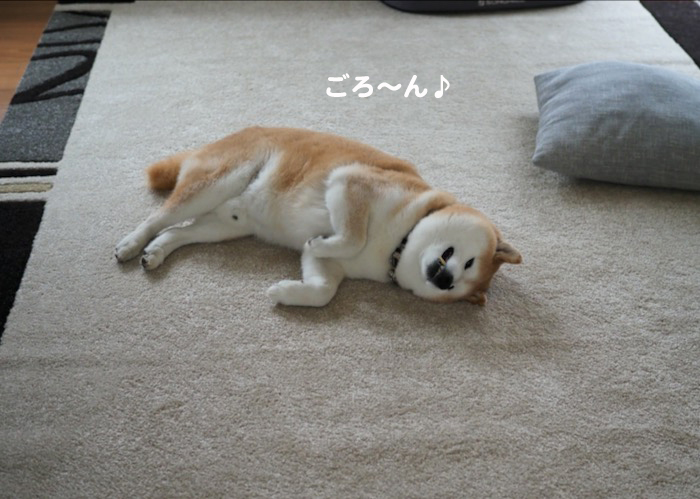21日ブログ２