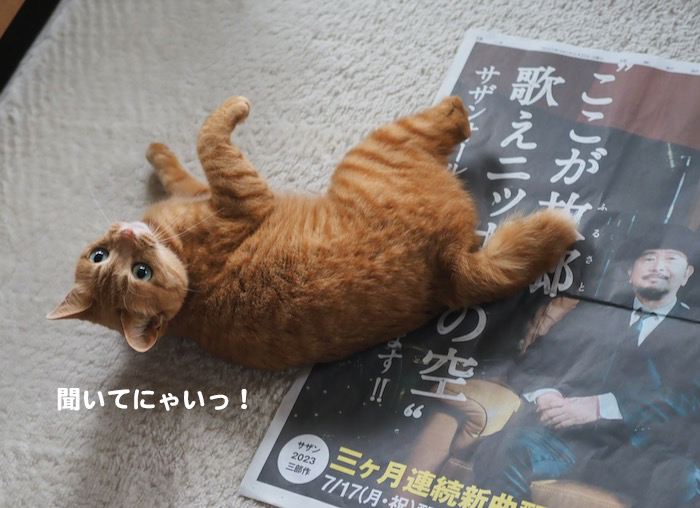 29日ブログ３