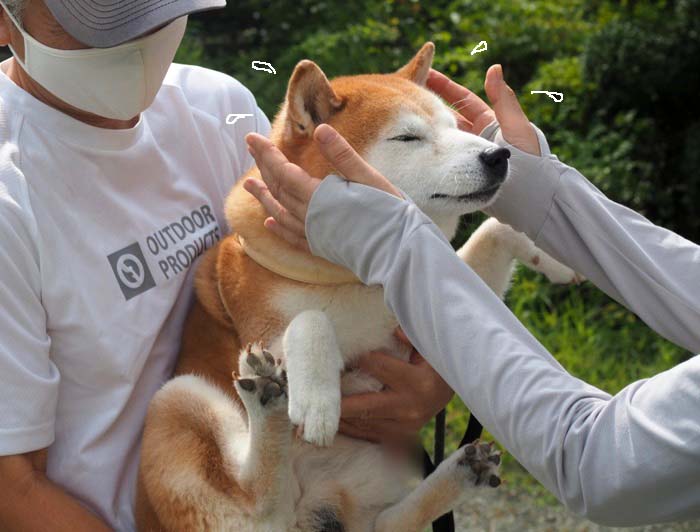 24日午後ブログ７