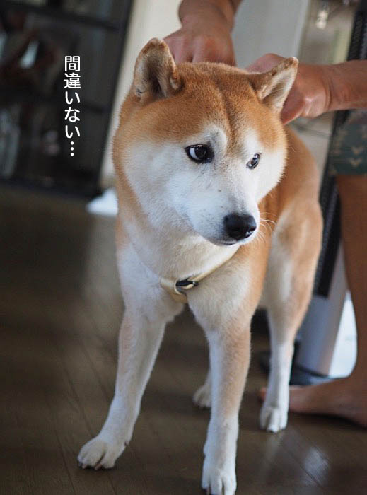 27日ブログ３