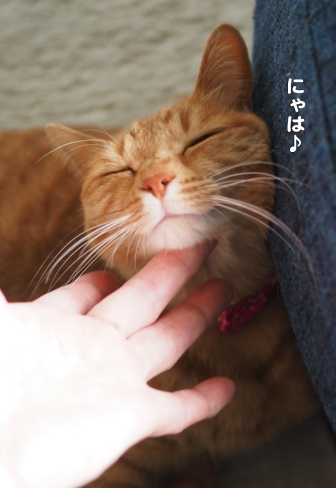 3日夕ブログ７