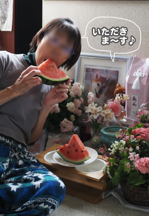 20日夜ブログ１１