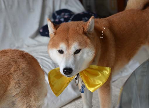 23日ブログ4.jpg