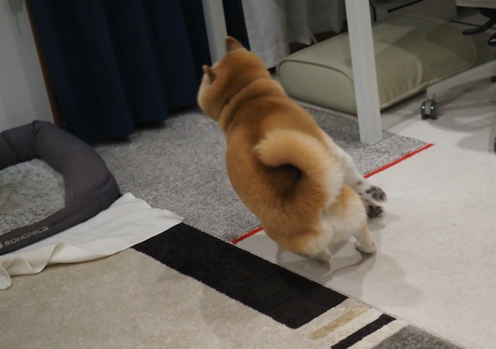 22日夕ブログ１６