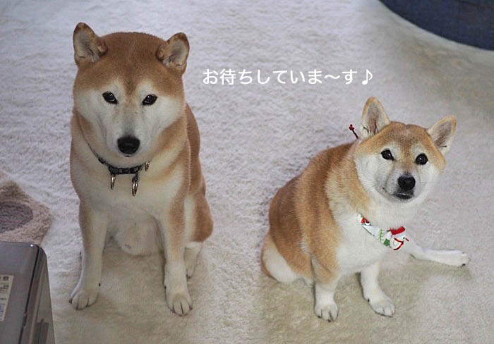 8日夜ブログ１３