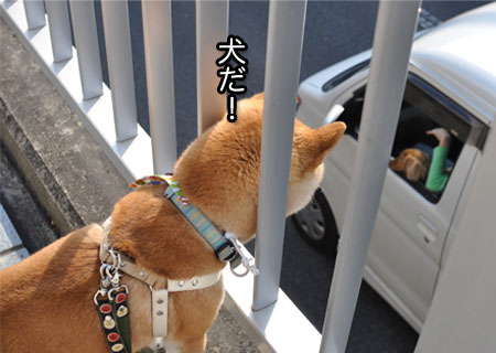5日ブログ１３.jpg