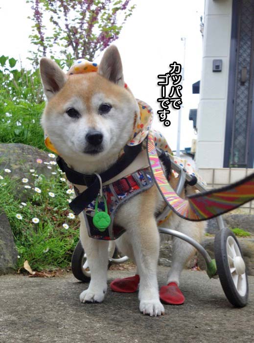 17日午後ブログ３