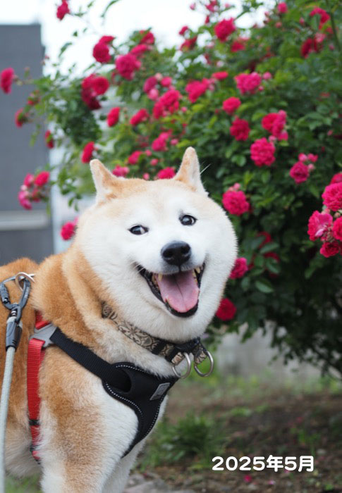 17日夕ブログ３