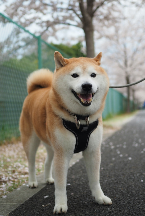 1日午後ブログ２