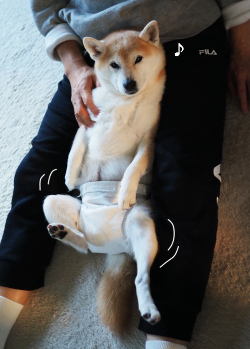 26日夜ブログ４