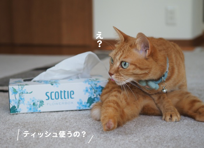 2日夕ブログ２