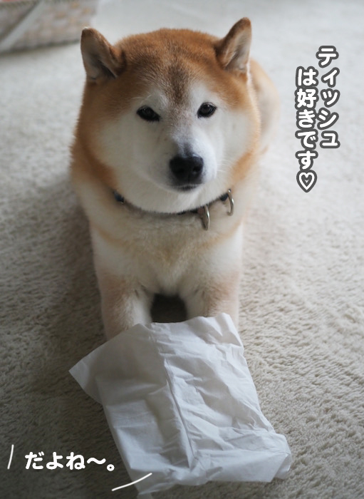 19日夜ブログ２