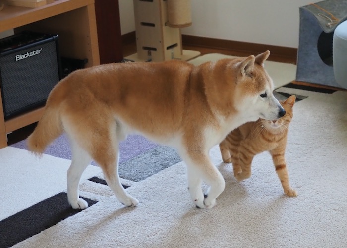 10日ブログ３