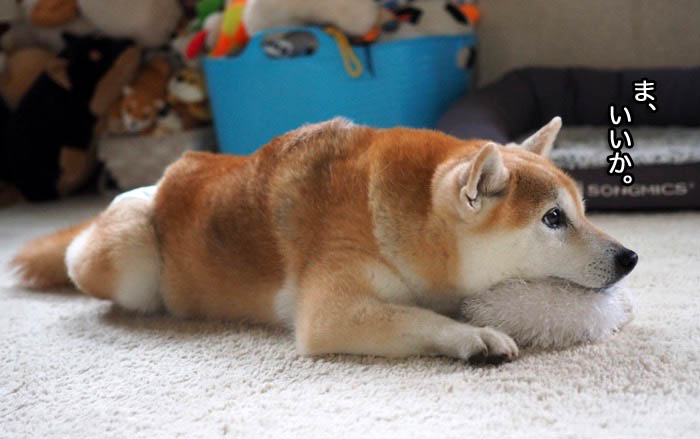 13日午後ブログ７