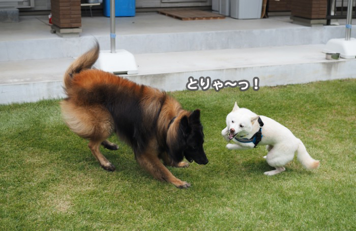 7日夕ブログ１６