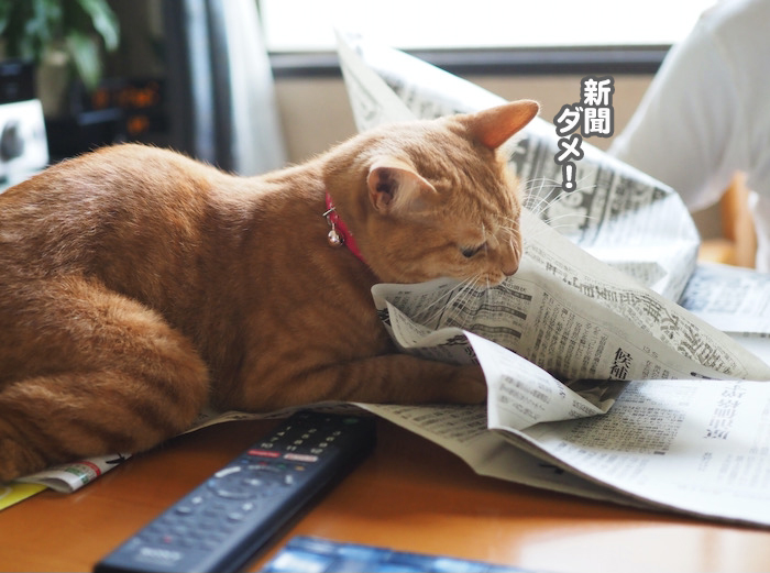 2日夕ブログ２