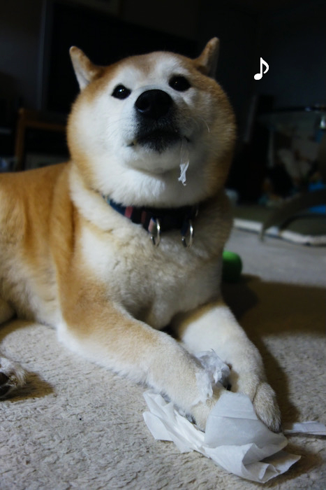 16日夜ブログ２