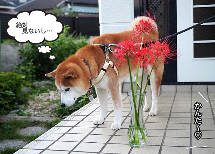 6日ブログ２