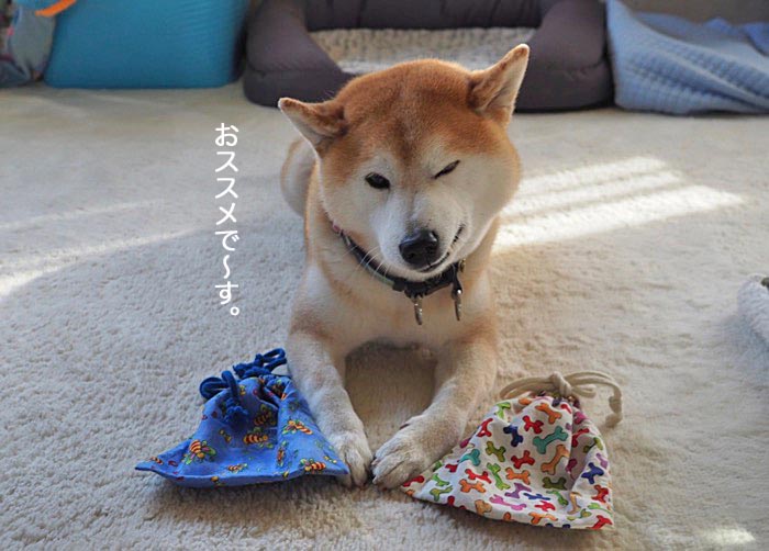 8日午後ブログ３