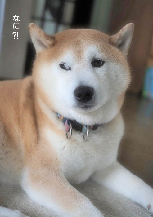 28日夜ブログ５