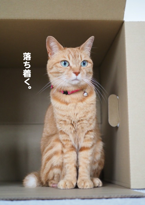 2日夕ブログ１０