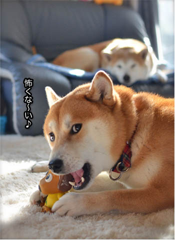 19日ブログ7.jpg