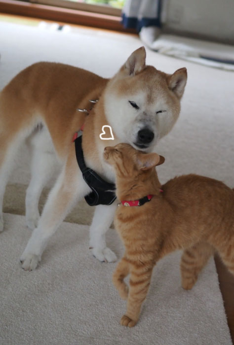 7日夕ブログ４