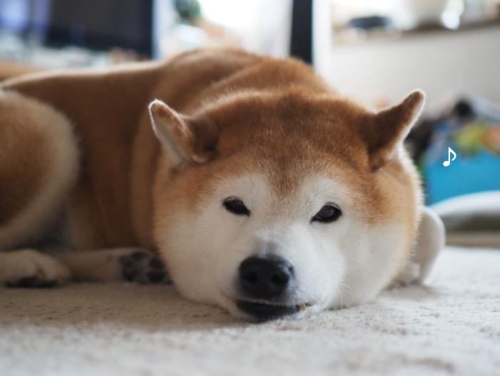 13日ブログ２